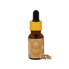 https://cdn.shopify.com/s/files/1/1857/6931/products/ROJ4AT2WGk.jpg?v=1663757202