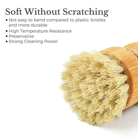 https://cdn.shopify.com/s/files/1/1857/6931/files/ROOcSjUVpE.jpg?v=1783503865