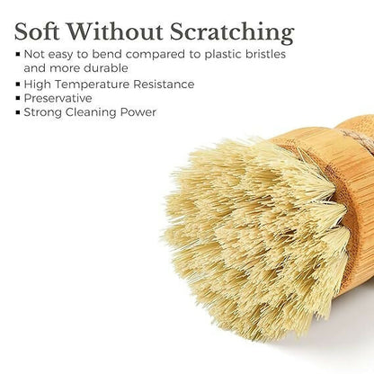 https://cdn.shopify.com/s/files/1/1857/6931/files/ROOcSjUVpE.jpg?v=1783503865