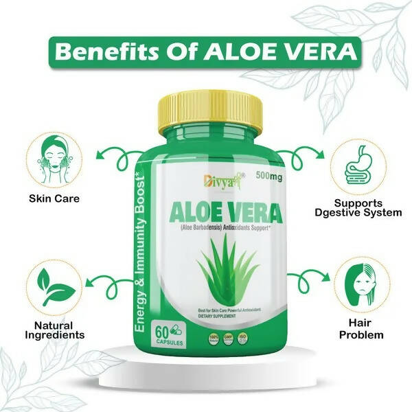 https://cdn.shopify.com/s/files/1/1857/6931/products/RRRIwo7rgt.jpg?v=1672210837