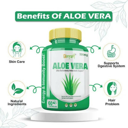 https://cdn.shopify.com/s/files/1/1857/6931/products/RRRIwo7rgt.jpg?v=1672210837