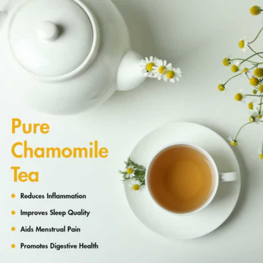 https://cdn.shopify.com/s/files/1/1857/6931/files/RTHK0aUbi2.png?v=1771505961