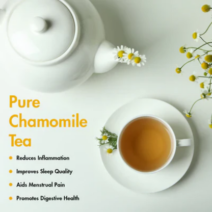 https://cdn.shopify.com/s/files/1/1857/6931/files/RTHK0aUbi2.png?v=1771505961