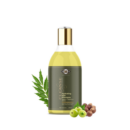 https://cdn.shopify.com/s/files/1/1857/6931/files/RUzpVBrY7L.png?v=1730810396