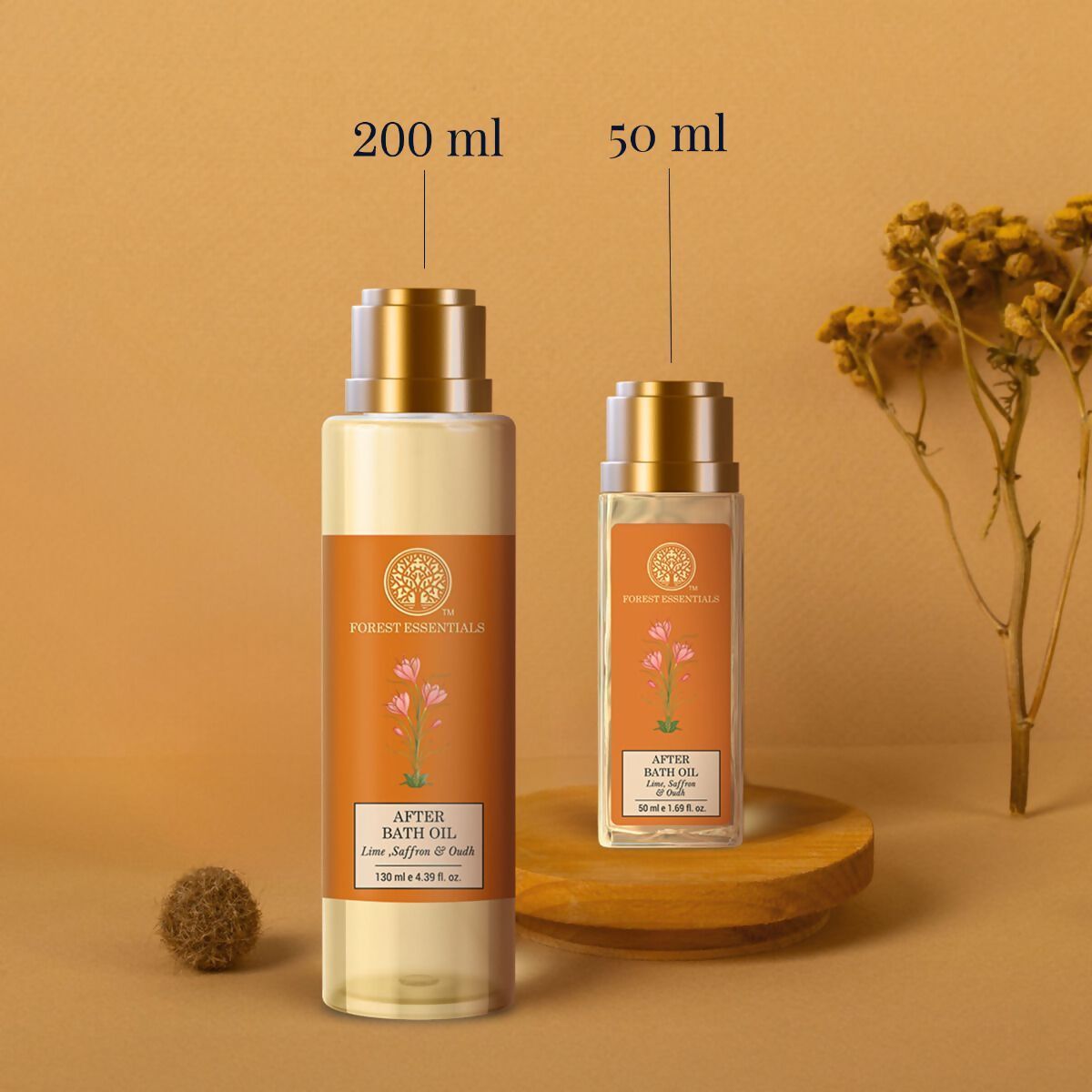 https://cdn.shopify.com/s/files/1/1857/6931/files/RXKVmNSk6c.jpg?v=1713266111