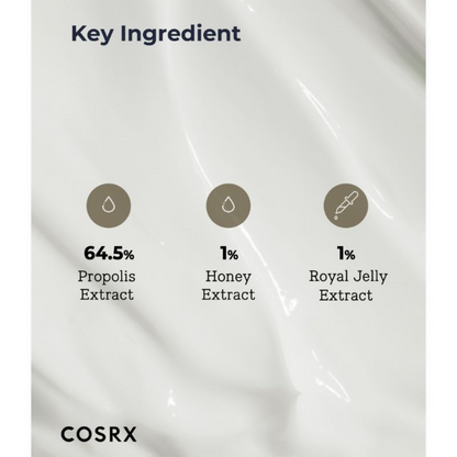 https://cdn.shopify.com/s/files/1/1857/6931/files/RZytgP1JZz.png?v=1722690099