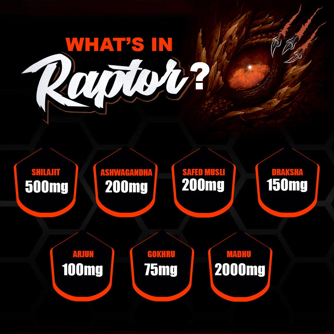 https://cdn.shopify.com/s/files/1/1857/6931/files/RaptorListing03.jpg?v=1761138767