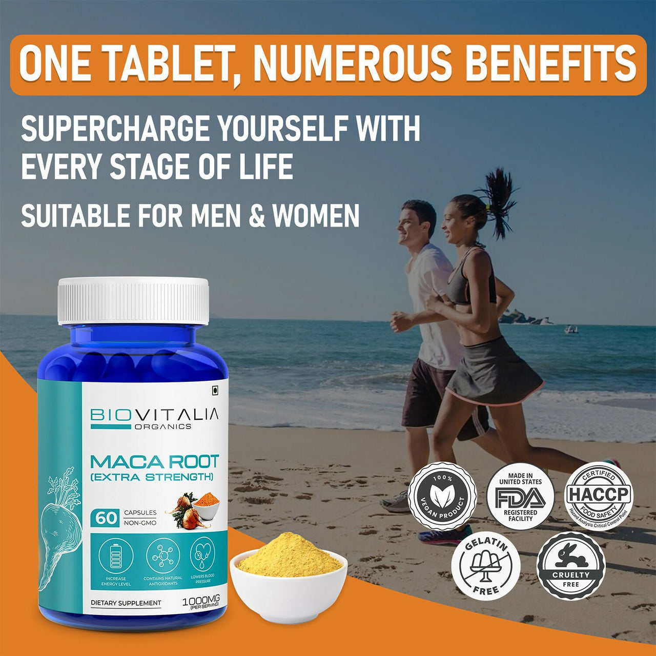 https://cdn.shopify.com/s/files/1/1857/6931/files/RbB7aryboq.jpg?v=1727680258