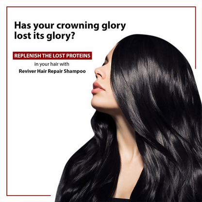 https://cdn.shopify.com/s/files/1/1857/6931/files/RchNkoP9qv.png?v=1725620825