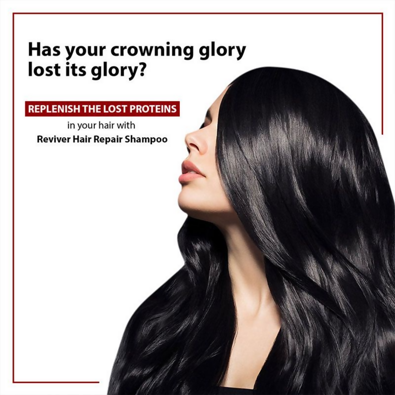 https://cdn.shopify.com/s/files/1/1857/6931/files/RchNkoP9qv.png?v=1725620825