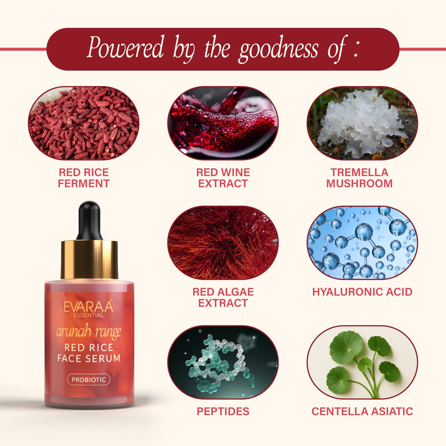 https://cdn.shopify.com/s/files/1/1857/6931/files/Red_Rice_Serum_Web_Product_Lisiting_image-03.png?v=1775643316