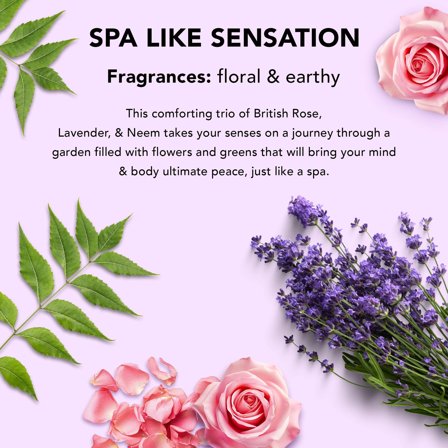 https://cdn.shopify.com/s/files/1/1857/6931/files/Relax_RenewShowerSetListingBanner_04.jpg?v=1770890323