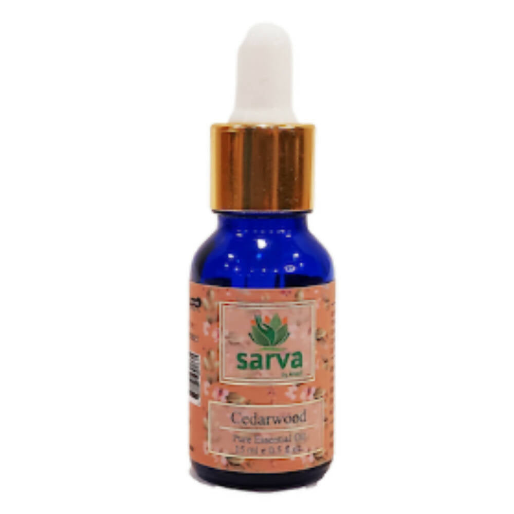 https://cdn.shopify.com/s/files/1/1857/6931/products/RiRXBBtX3l.jpg?v=1670671251