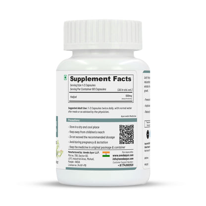 https://cdn.shopify.com/s/files/1/1857/6931/files/Right_ec4d6ea4-4ad1-4016-a98f-7a3d1edd4d6a.jpg?v=1690007335
