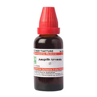 https://cdn.shopify.com/s/files/1/1857/6931/products/RkxPptuzqD.jpg?v=1631967743