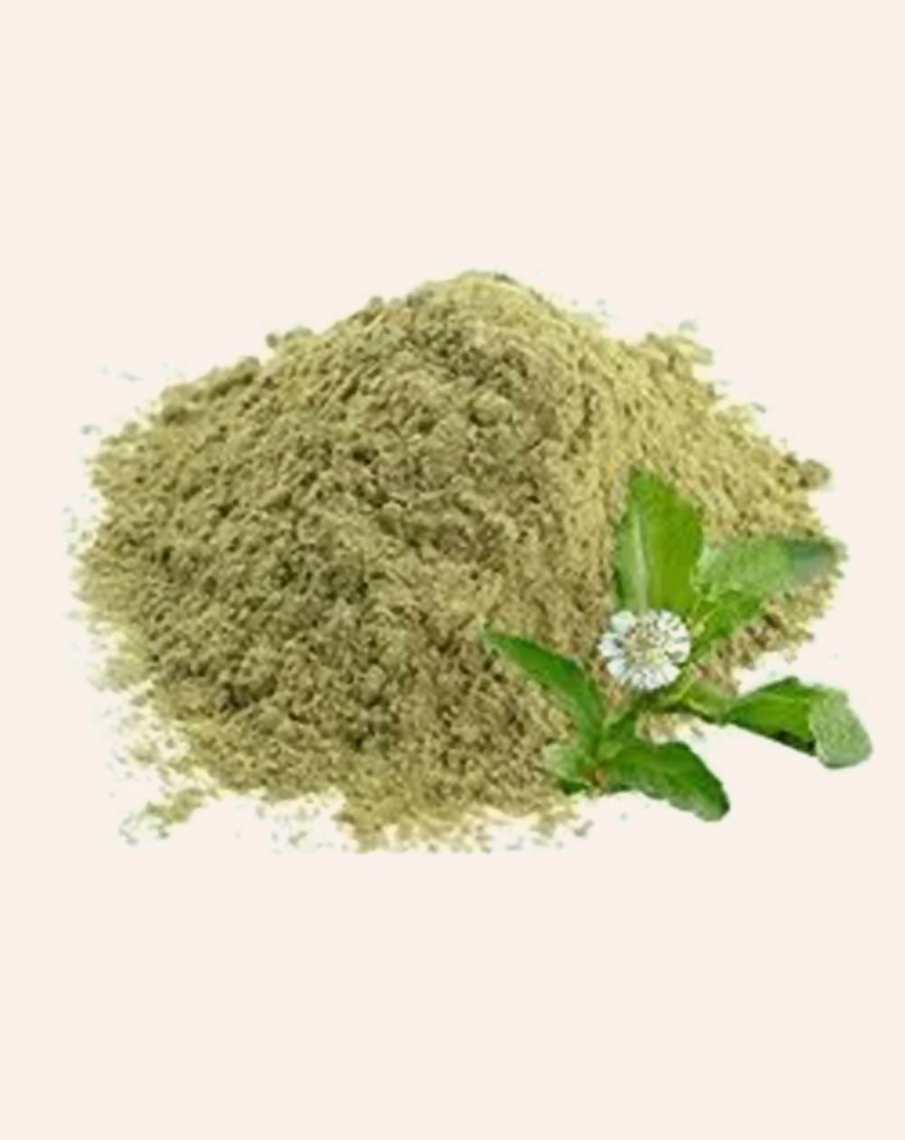 https://cdn.shopify.com/s/files/1/1857/6931/files/RmFM3NbD2q.jpg?v=1761817884