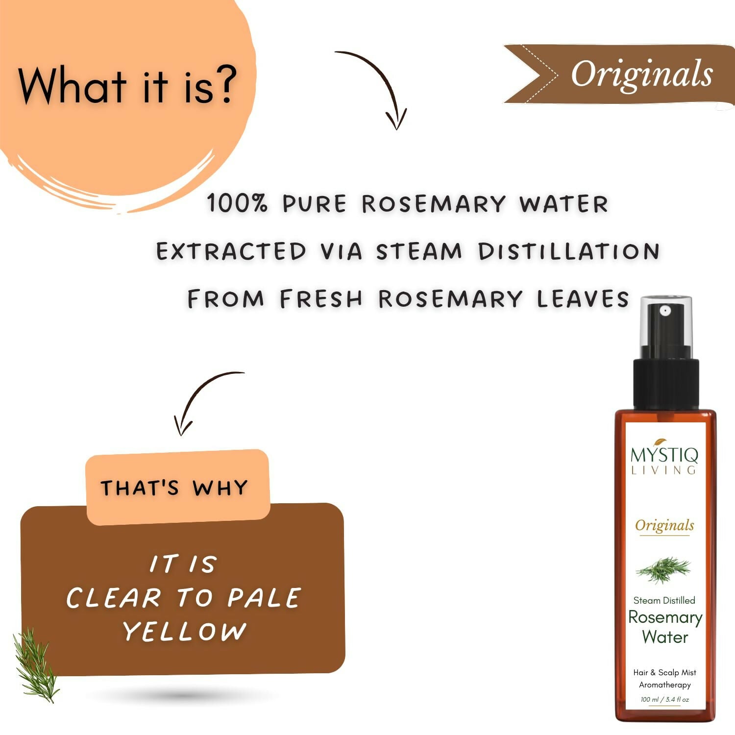 https://cdn.shopify.com/s/files/1/1857/6931/files/RmJ4QgFYaC.jpg?v=1723469152