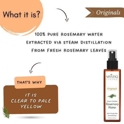 https://cdn.shopify.com/s/files/1/1857/6931/files/RmJ4QgFYaC.jpg?v=1723469152