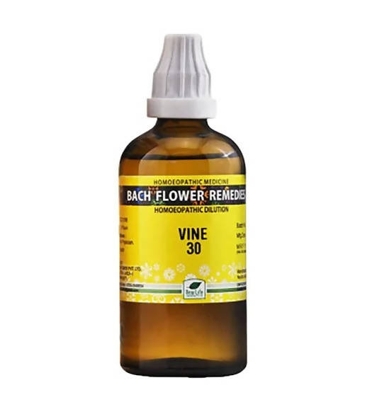 https://cdn.shopify.com/s/files/1/1857/6931/products/Rn1Tcr5iV9.jpg?v=1647320100