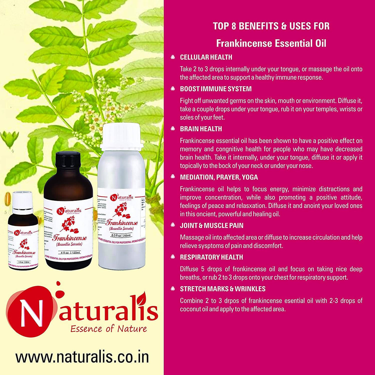 https://cdn.shopify.com/s/files/1/1857/6931/products/RnW6mgQQWr.jpg?v=1623493675