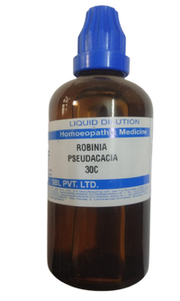 https://cdn.shopify.com/s/files/1/1857/6931/products/Robina_Pseudacacia_30C-removebg-preview.png?v=1618472145