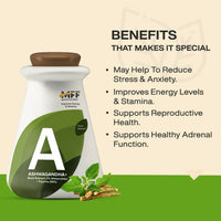 https://cdn.shopify.com/s/files/1/1857/6931/files/RqaCfOt7Pp.jpg?v=1729317650