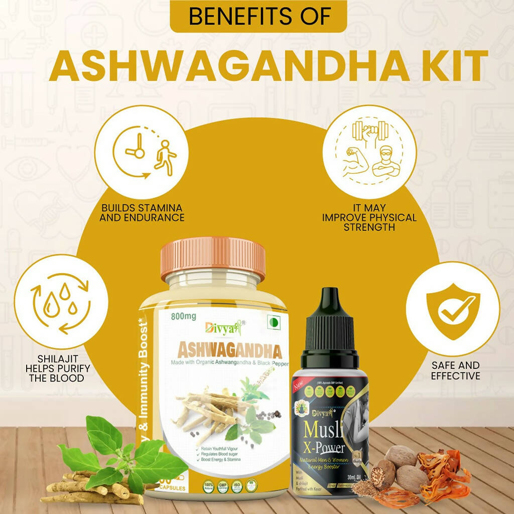 https://cdn.shopify.com/s/files/1/1857/6931/products/Rqaf2bfEpn.jpg?v=1687267173