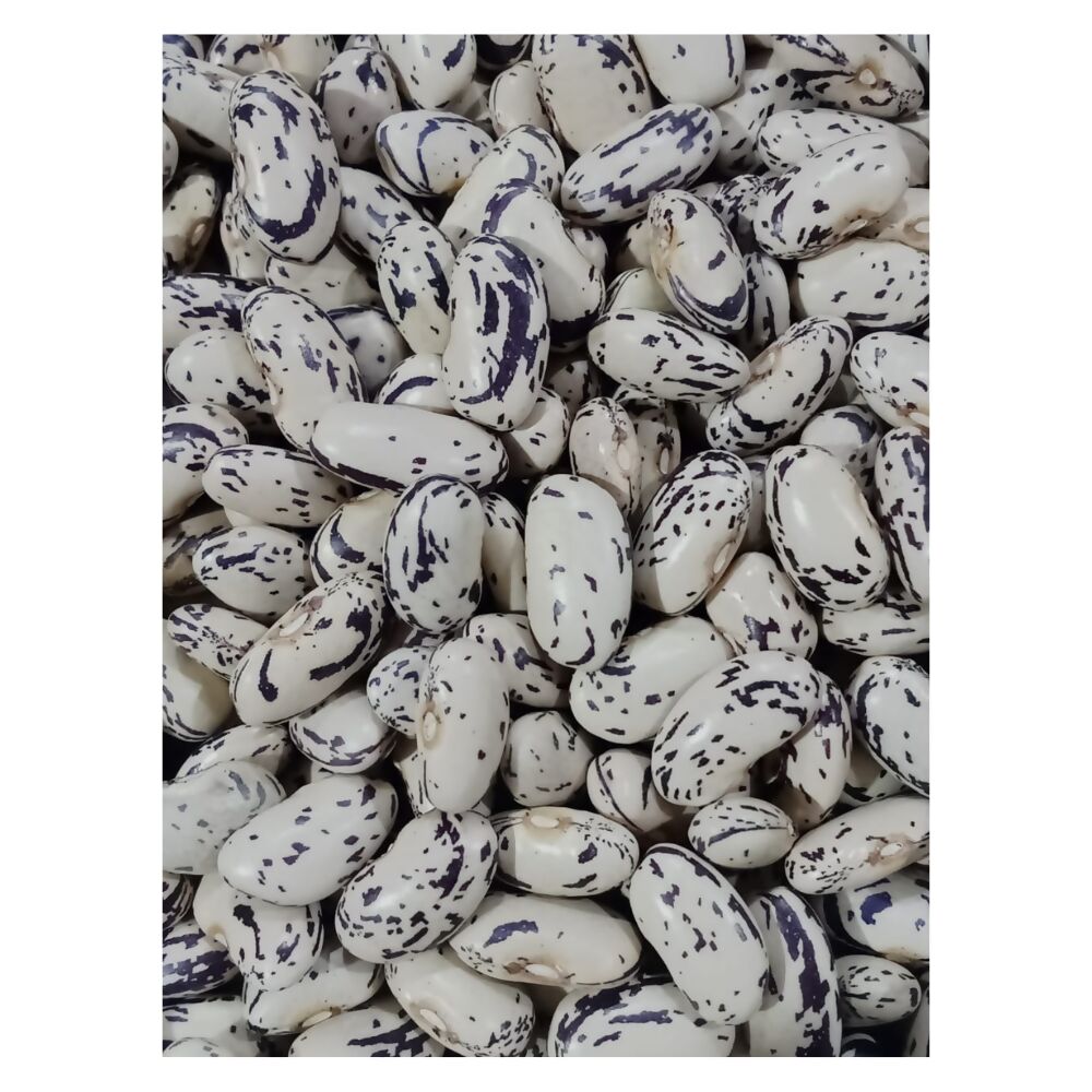 https://cdn.shopify.com/s/files/1/1857/6931/files/Rqrd3Unjwb.jpg?v=1714806812