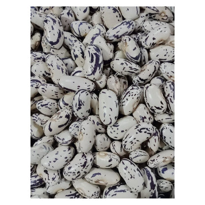 https://cdn.shopify.com/s/files/1/1857/6931/files/Rqrd3Unjwb.jpg?v=1714806812