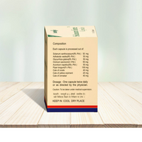 https://cdn.shopify.com/s/files/1/1857/6931/files/RtV1InenlG.png?v=1738923249