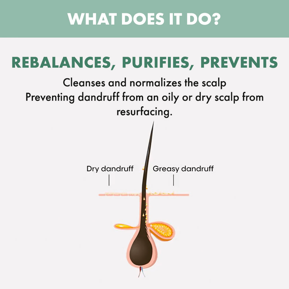 Image 5 of Alfaparf Milano Scalp Rebalance Purifying Shampoo Reduces Dandruff