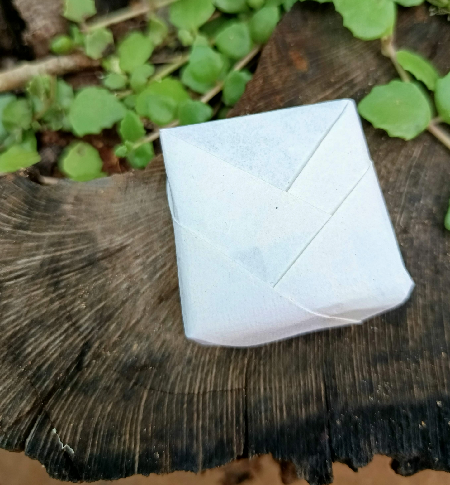 https://cdn.shopify.com/s/files/1/1857/6931/files/RxaWggO3fz.png?v=1780500625
