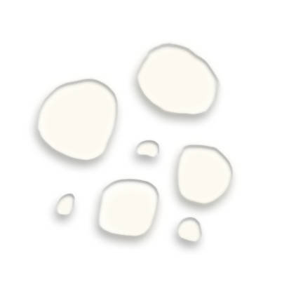https://cdn.shopify.com/s/files/1/1857/6931/products/RyHIZolm8z.jpg?v=1640949796