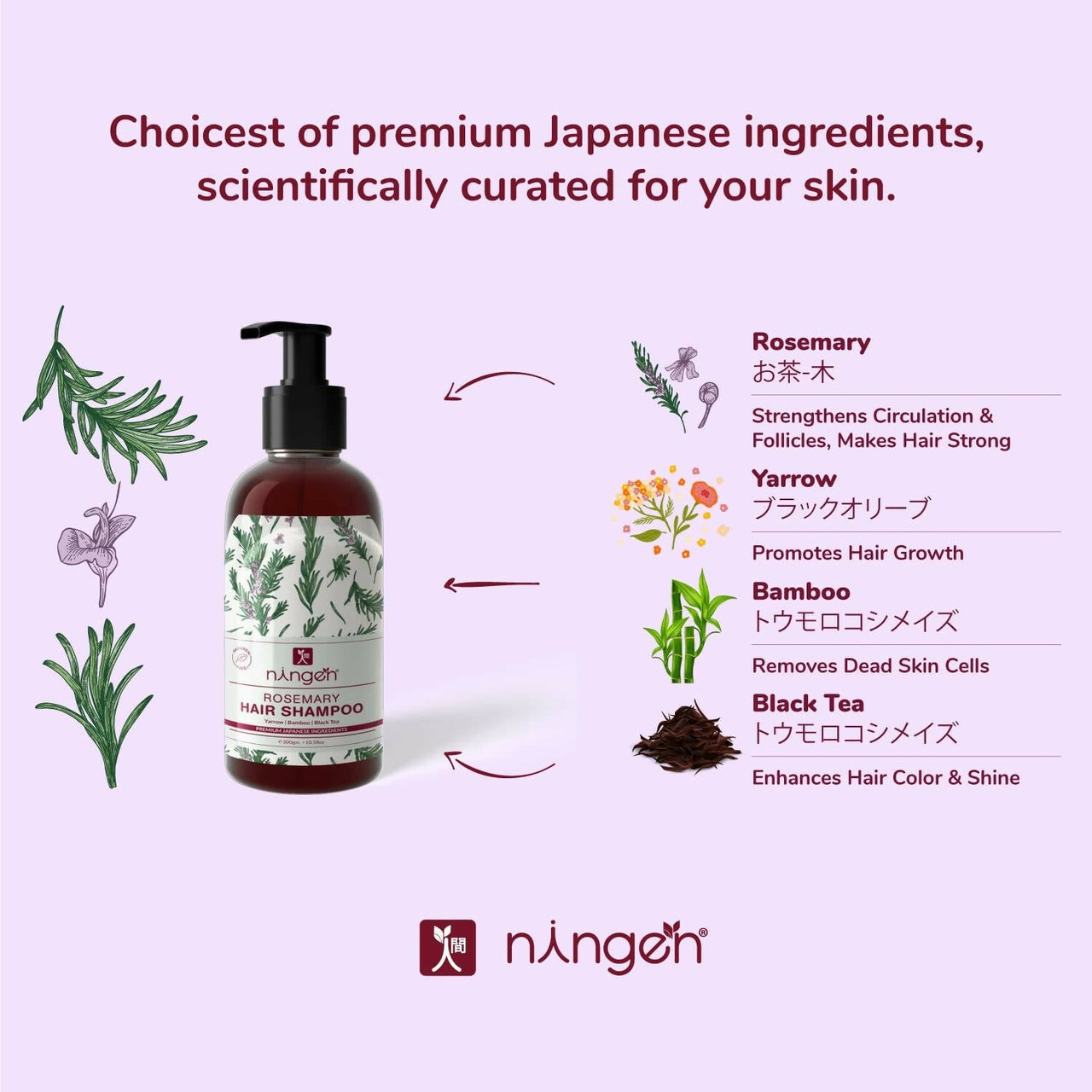 https://cdn.shopify.com/s/files/1/1857/6931/products/RzW9TapfXI.jpg?v=1666434990