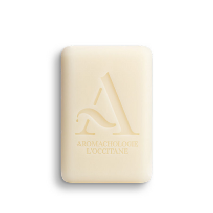 https://cdn.shopify.com/s/files/1/1857/6931/files/RzlGtnNhLE.png?v=1727182535