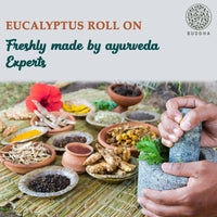 https://cdn.shopify.com/s/files/1/1857/6931/products/S0LenqdaBk.jpg?v=1677674906