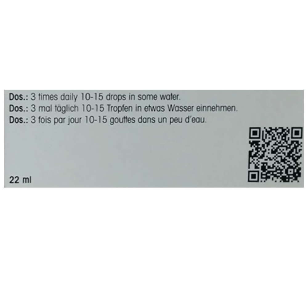 https://cdn.shopify.com/s/files/1/1857/6931/files/S0gg5kwQ78.png?v=1768803496