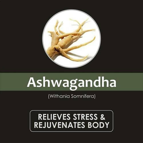 https://cdn.shopify.com/s/files/1/1857/6931/products/S2cHyOIa1a.jpg?v=1646811175