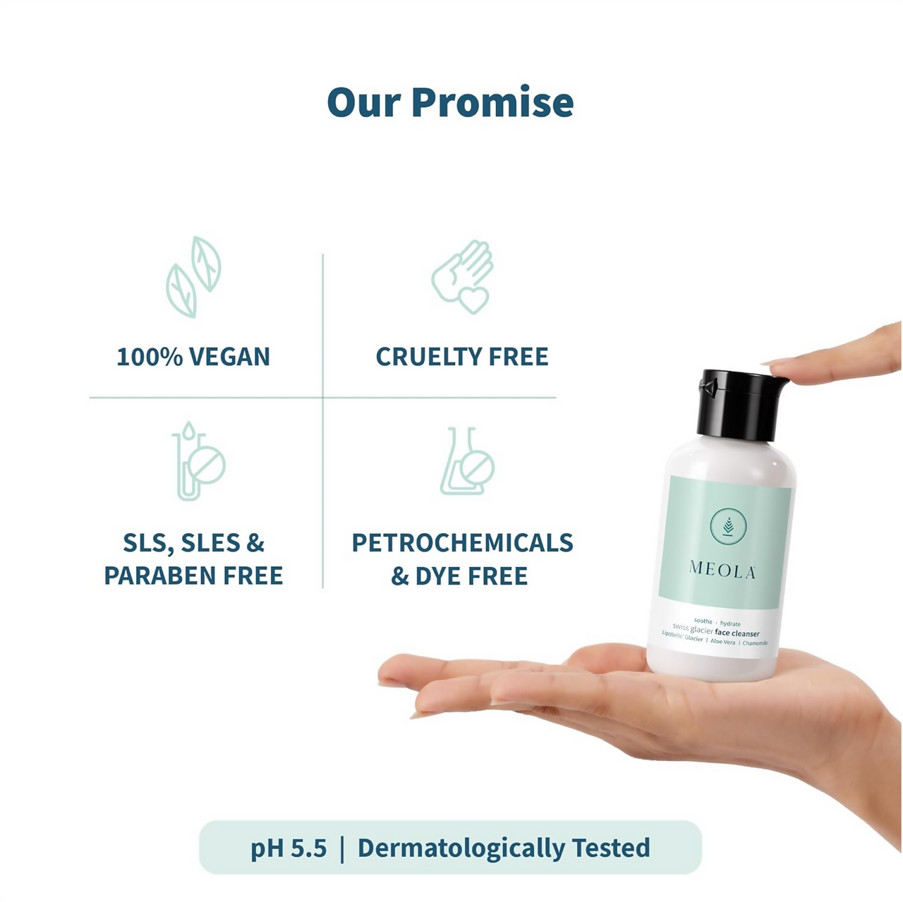 https://cdn.shopify.com/s/files/1/1857/6931/files/S4X7UukdYL.png?v=1728474221