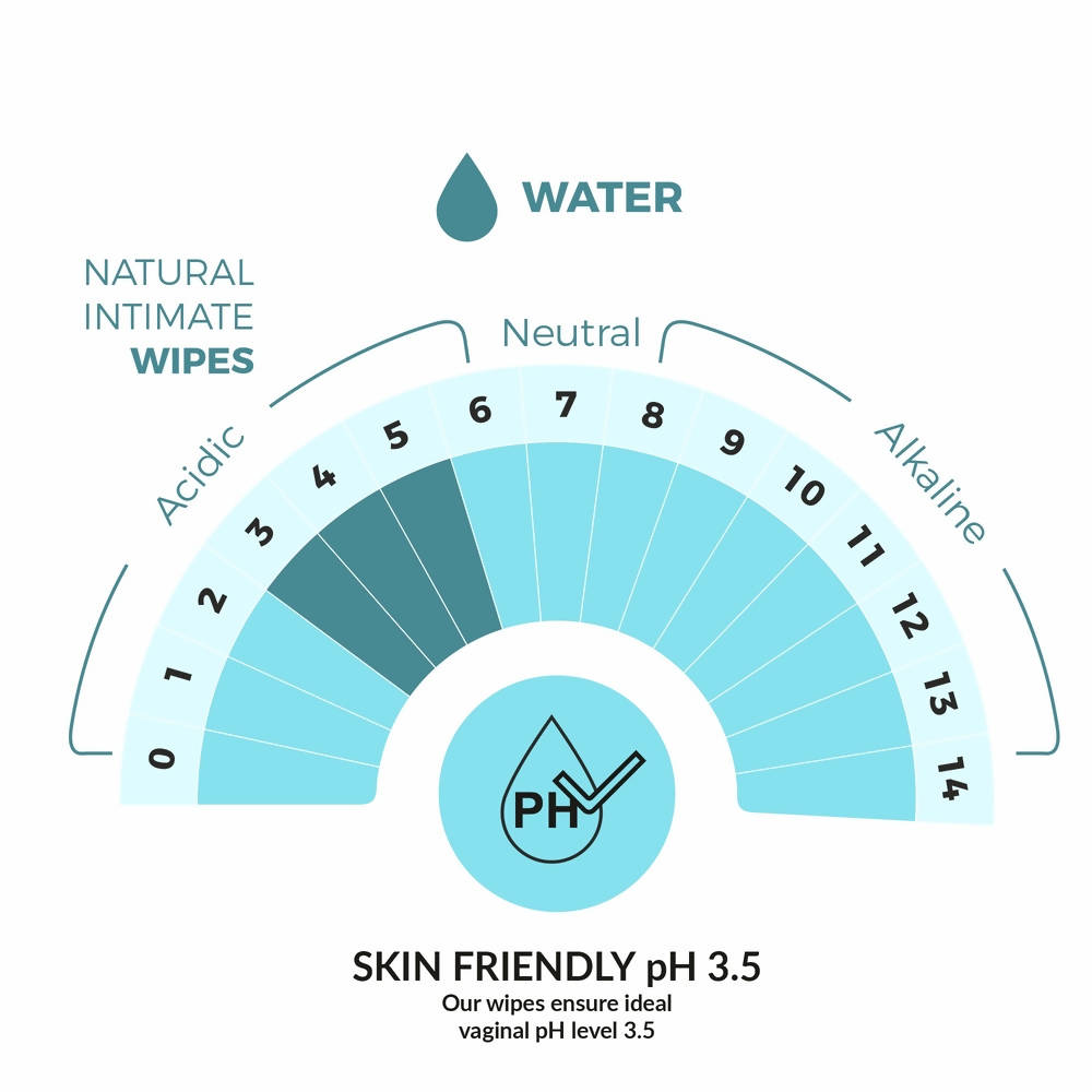 https://cdn.shopify.com/s/files/1/1857/6931/products/S4n9tEGhry.jpg?v=1648617405