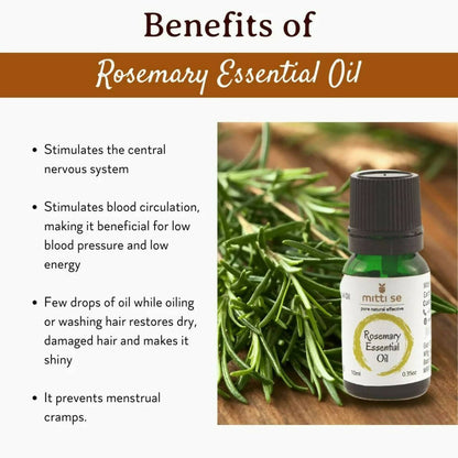 https://cdn.shopify.com/s/files/1/1857/6931/products/S7kjqMh3ho.jpg?v=1670583343