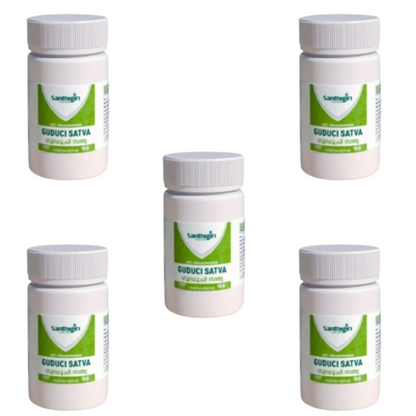 https://cdn.shopify.com/s/files/1/1857/6931/files/SANTH-GENIE-151312-01_009bd9fb-d2ae-4243-b716-fc2d200b7c3a.png?v=1756818049