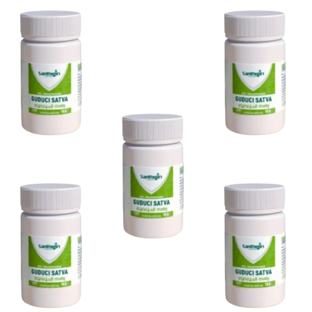 https://cdn.shopify.com/s/files/1/1857/6931/files/SANTH-GENIE-151312-01_009bd9fb-d2ae-4243-b716-fc2d200b7c3a.png?v=1756818049