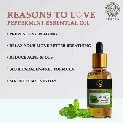 https://cdn.shopify.com/s/files/1/1857/6931/products/SAozDcoMmN.jpg?v=1677655909