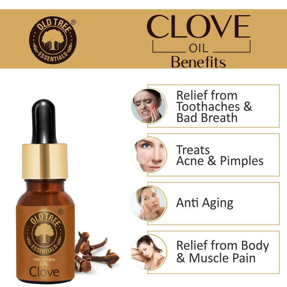 https://cdn.shopify.com/s/files/1/1857/6931/products/SBJ1Db2ir6.jpg?v=1683366099