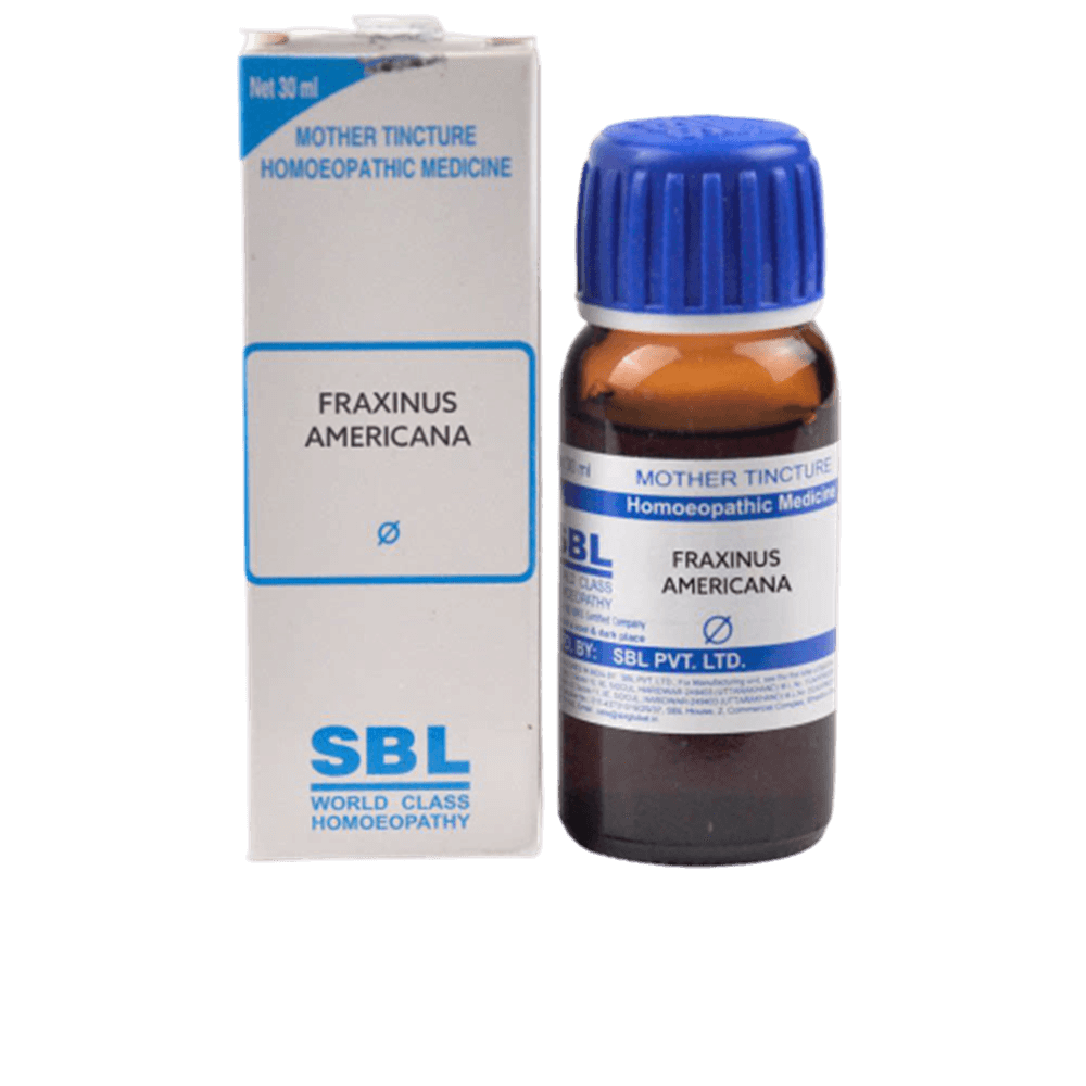 Image 1 of 30 ml for the product SBL Homeopathy Fraxinus Americana Mother Tincture Q