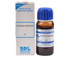 https://cdn.shopify.com/s/files/1/1857/6931/products/SBL-Homeopathy-Pothos-Foetidus-Mother-TinctureQ.png?v=1607063752