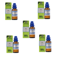 https://cdn.shopify.com/s/files/1/1857/6931/files/SBLH-GENIE-55488-03_f3810d8a-64f4-49cd-8f21-9d8c7ed194c3.png?v=1756824874
