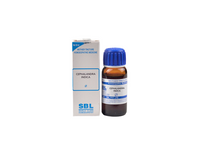 https://cdn.shopify.com/s/files/1/1857/6931/products/SBL_Homeopathy_Cephalandra_Indica_Mother_Tincture_Q-removebg-preview.png?v=1621403741