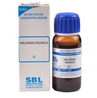 https://cdn.shopify.com/s/files/1/1857/6931/products/SBL_Homeopathy_Helonias_Diodica_Mother_Tincture_Q-removebg-preview.png?v=1627007441